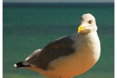8222