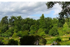 panorama-001