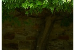 DSC_1675