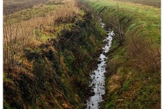 DSC5304