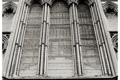 DSC5417