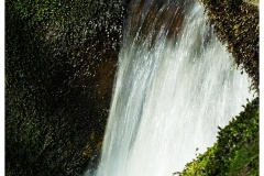 DSC5659