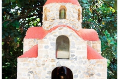 dsc8653