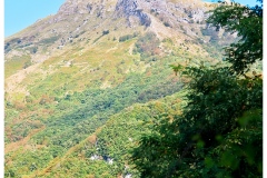 dsc0507