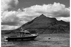 IMG_1483