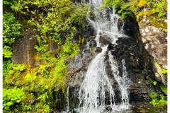 IMG_1515