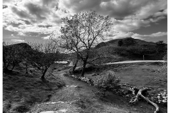IMG_1582