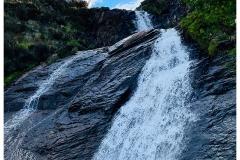 IMG_1592