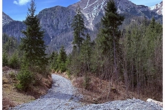 IMG_7534
