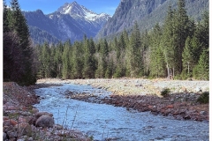 IMG_7563