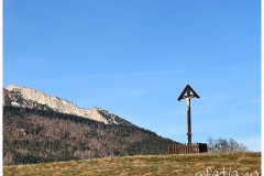 IMG_7978