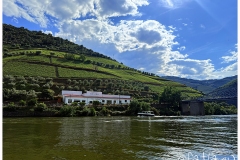 IMG_8038