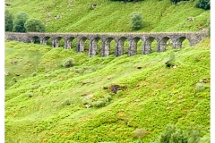 IMG_9480